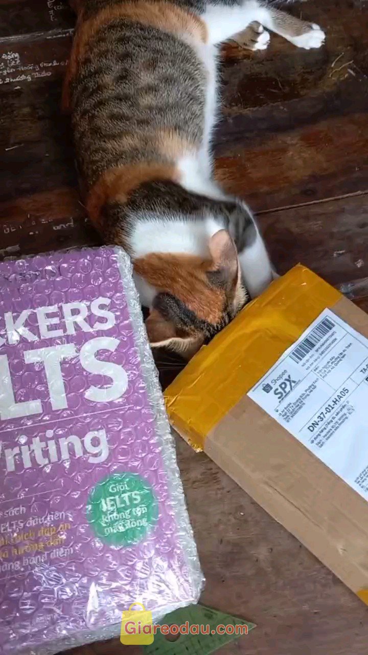 Giảm giá [Mã giảm 15%] Sách Hackers IELTS Reading. Bao bì mới, sạch sẽ ko bụi. Shop bao bọc kỹ, sách bị cấn góc ít,. 